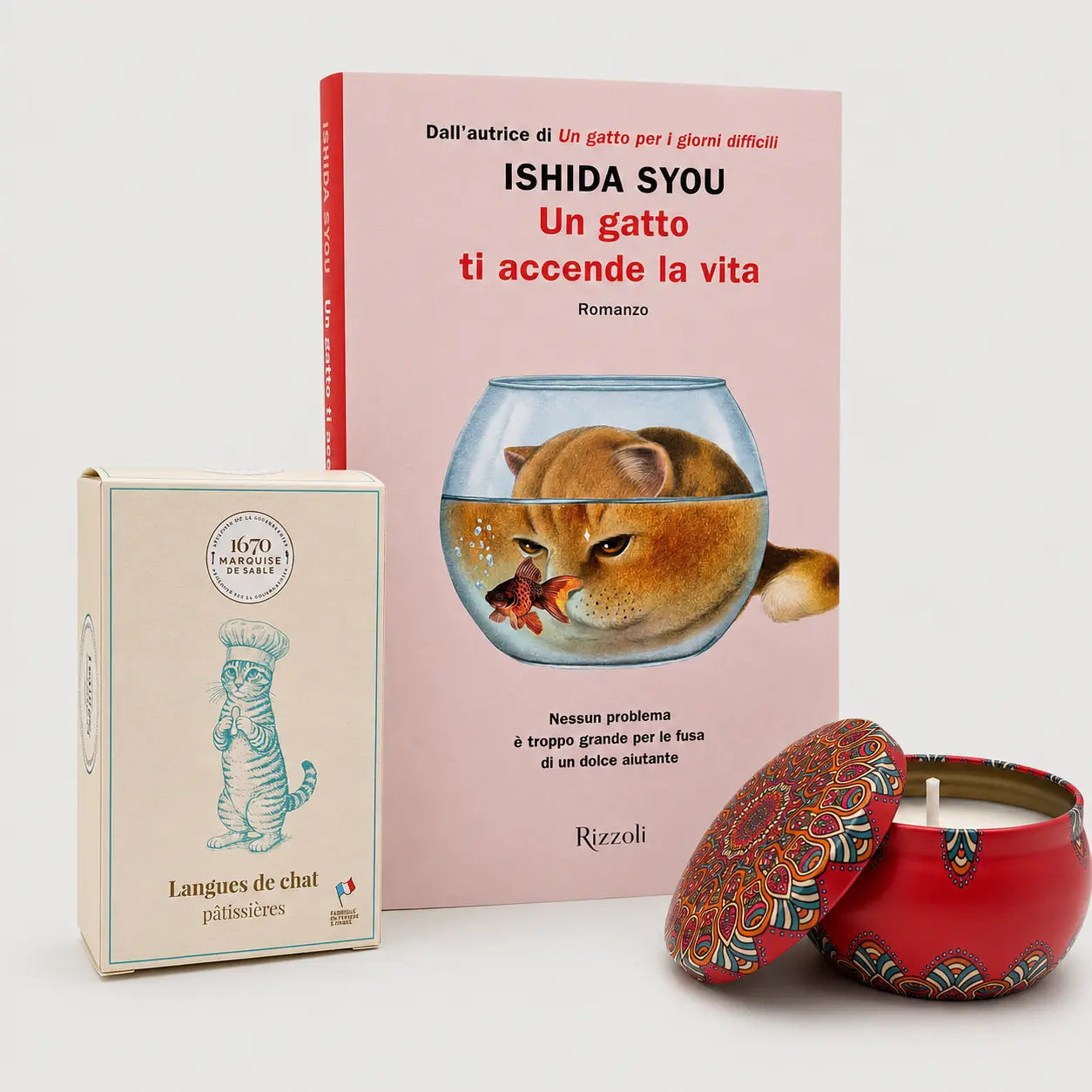 Un gatto ti accende la vita - Nuove uscite