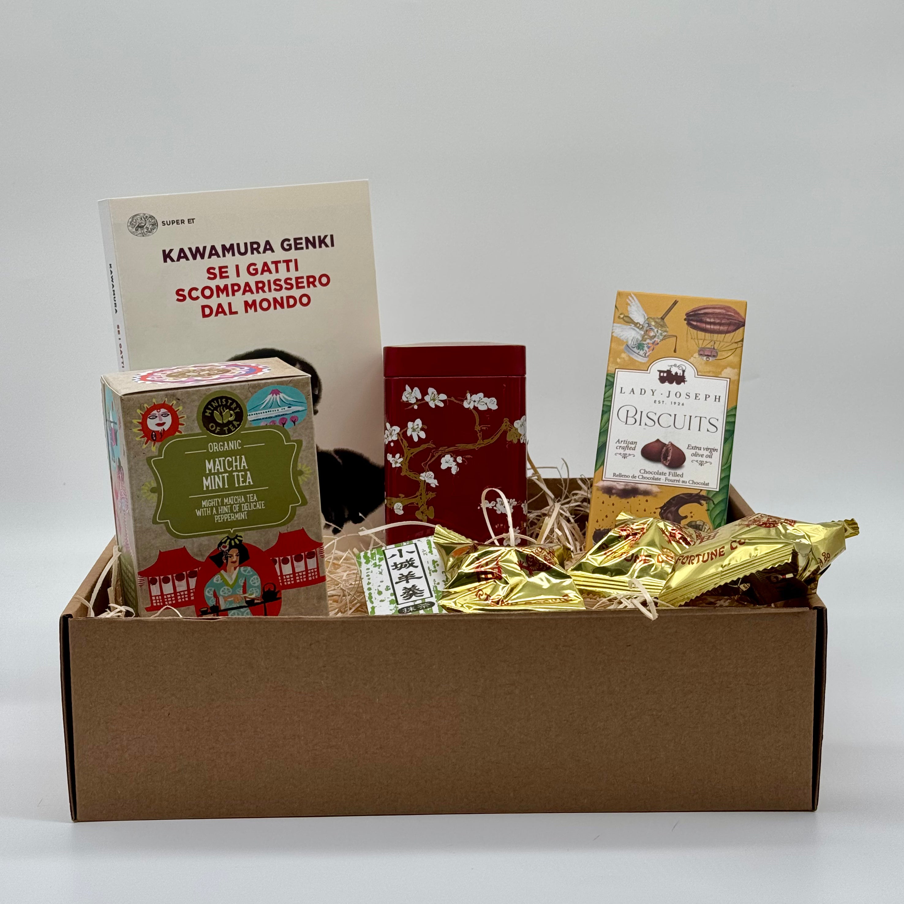 Se i gatti scomparissero dal mondo