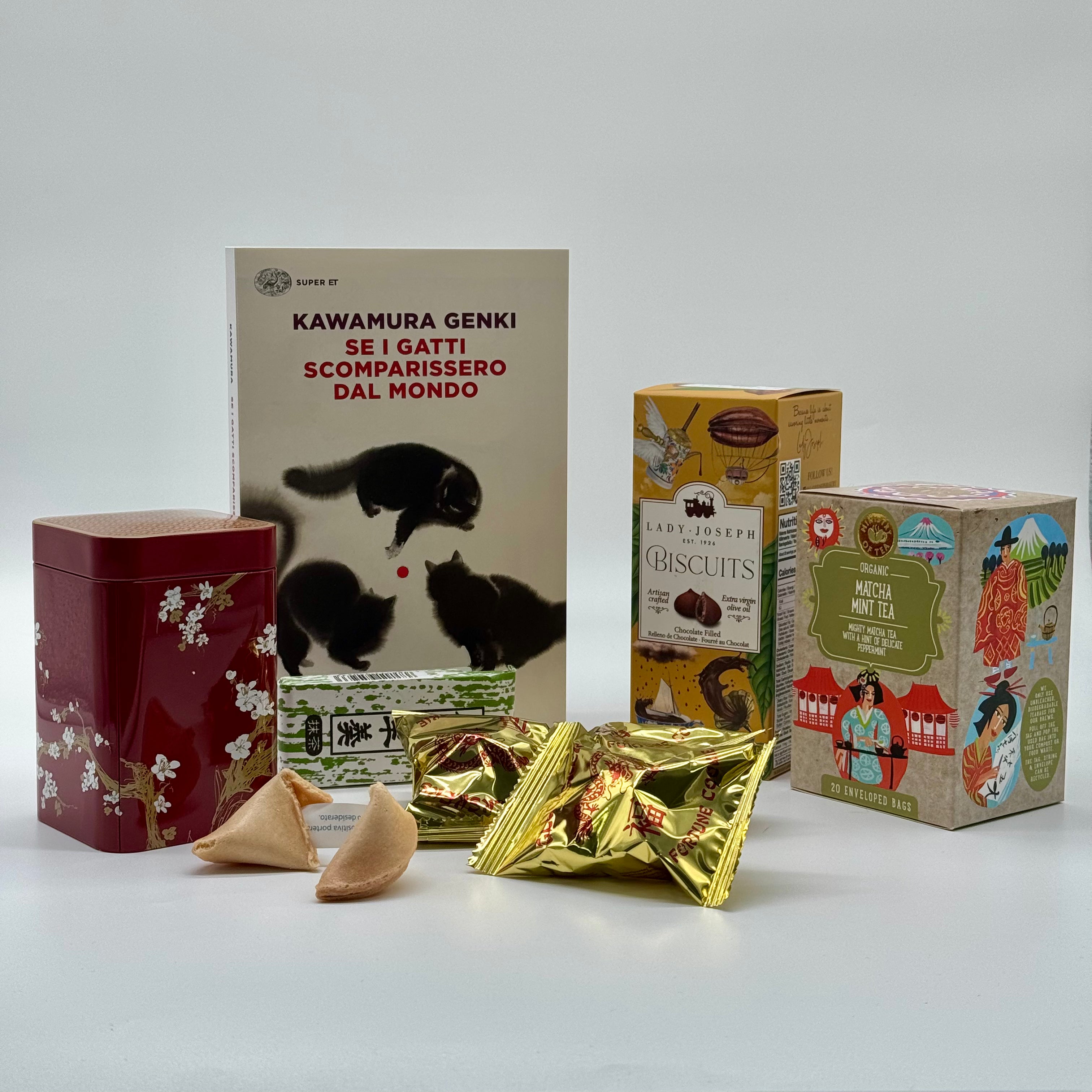 Se i gatti scomparissero dal mondo