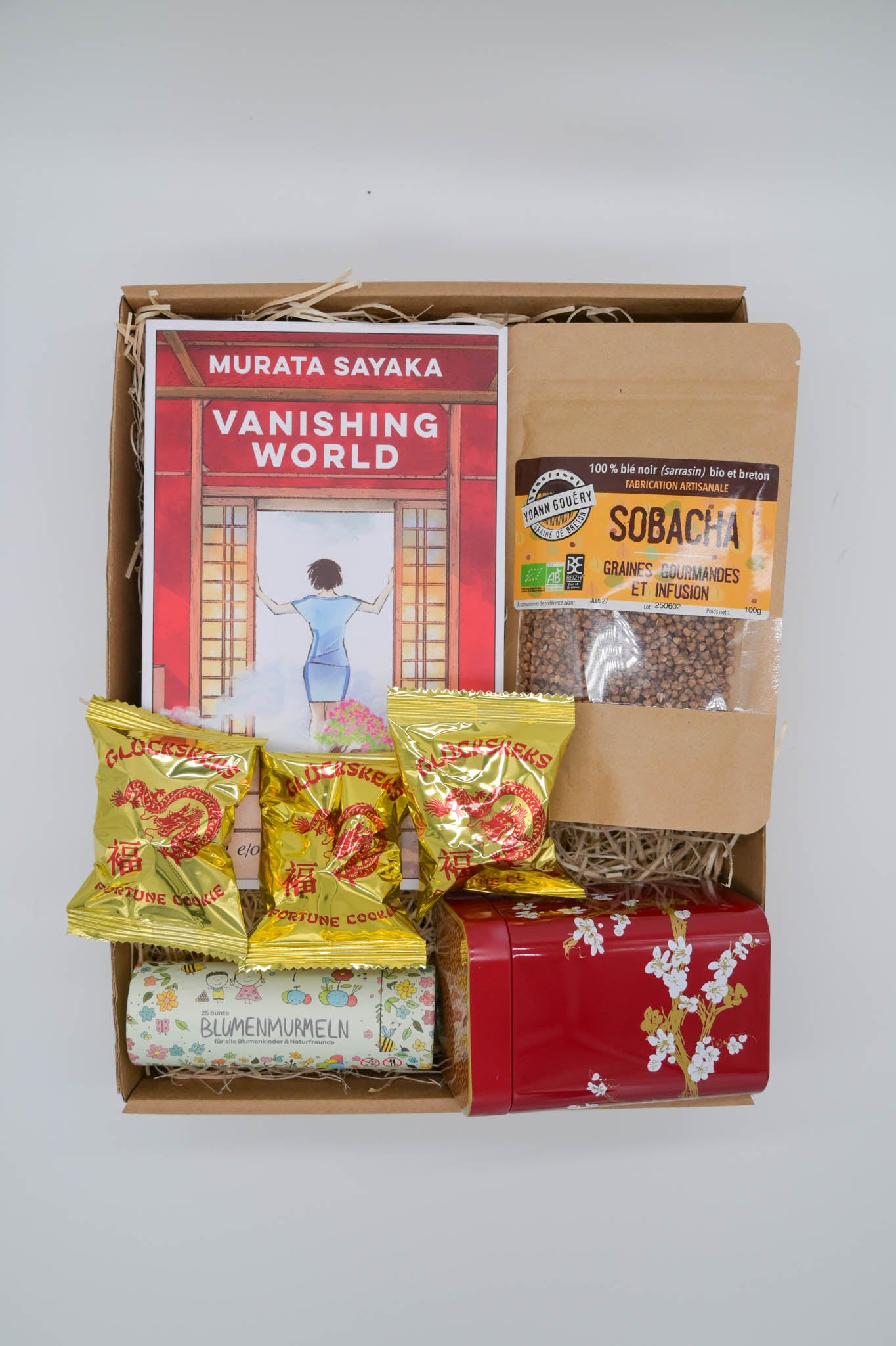 Vanishing world. Ediz. italiana