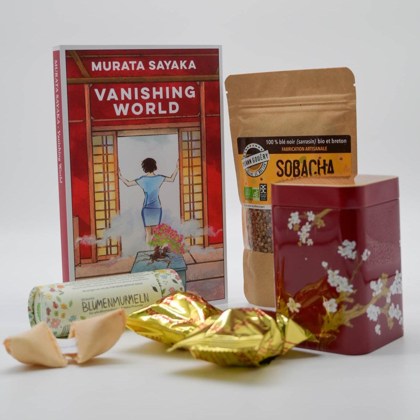 Vanishing world. Ediz. italiana