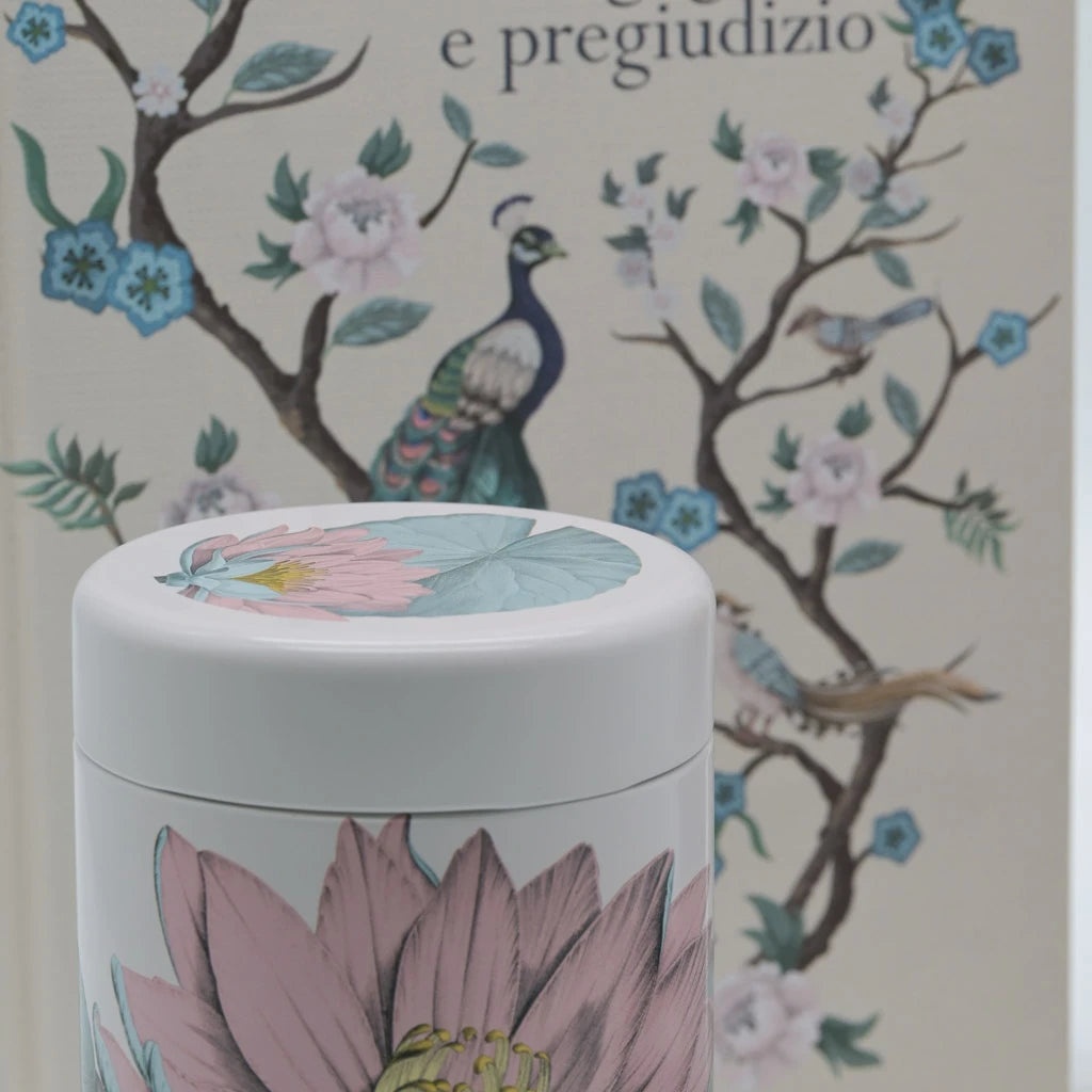 Orgoglio e pregiudizio