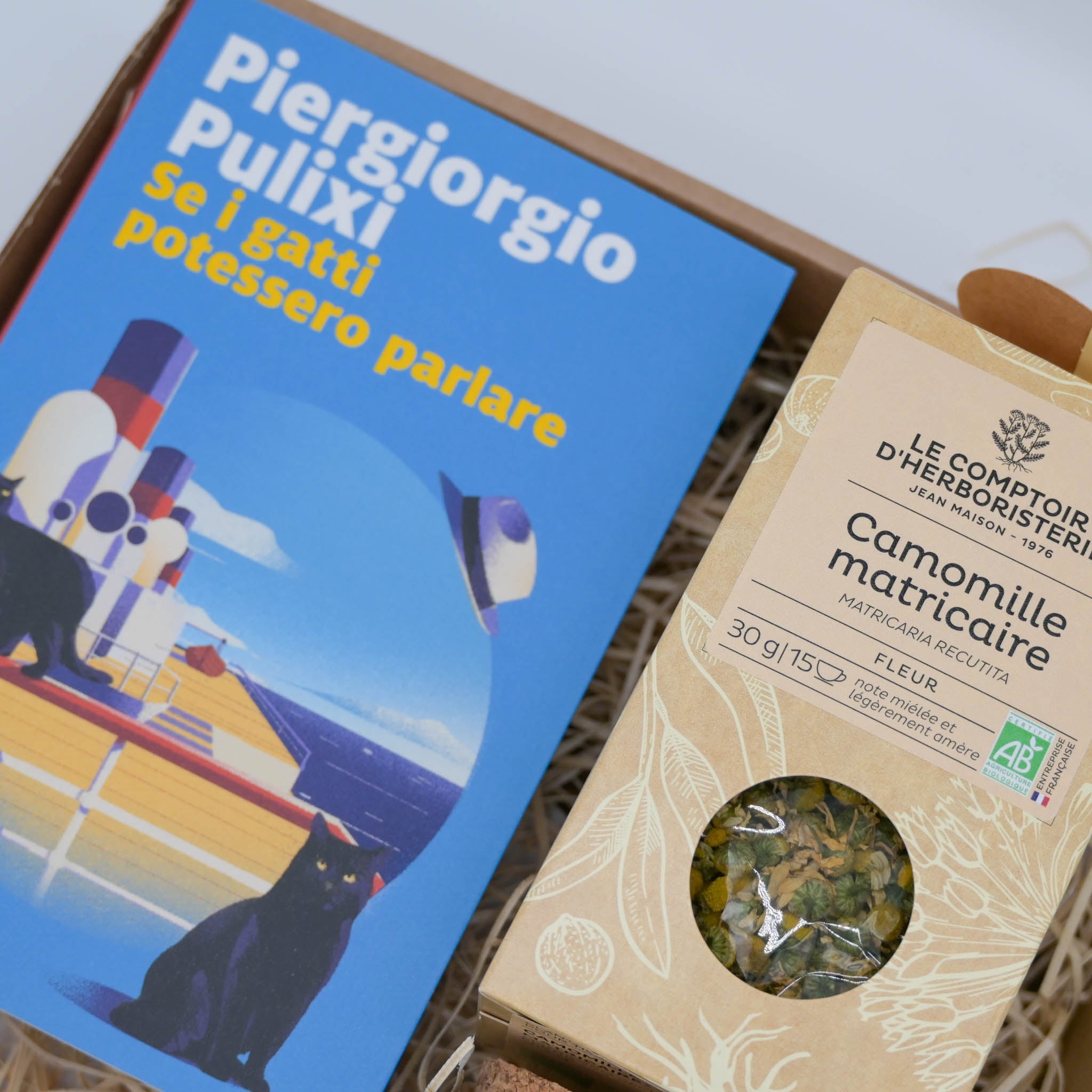 Se i gatti potessero parlare