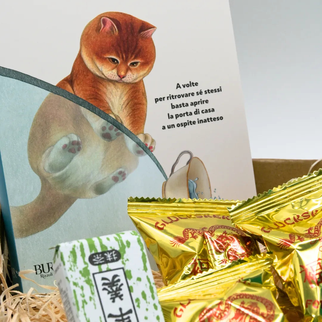 Un gatto per i giorni difficili