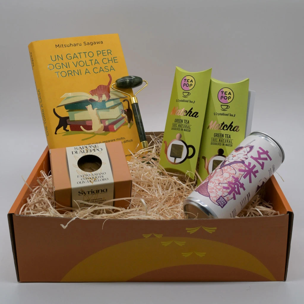 Un gatto per ogni volta che torni a casa